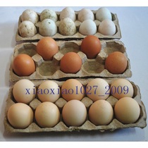 10 Pulp Egg Toy Egg Tool Egg Card Dog Pattern Egg Box 10 Soil Egg Tool Box