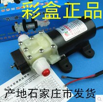 Prandi 24V self-priming pump DC diaphragm pump 2201 miniature water pump Small water pump