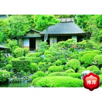 Save and Save Financial Management 50 User Network Edition Go - Sale Management Financial Management Installation video