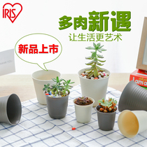 Alice IRIS desktop meat plant simple flowerpot flower plant plastic Mini Multi-meaty small flowerpot