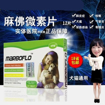 Wita Ma Buddha microsin dogs and cats cough with antibiotics Urinary tract infection Urinary blood pneumonia tracheitis