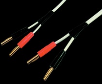 UK set to buy Black Rhodium T50 Soundstage horn line prose