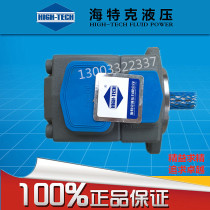 HIGH-TECH Vane pump PVL1 PV2R1-28-F-1R-U-10 Oil pump press Injection molding machine