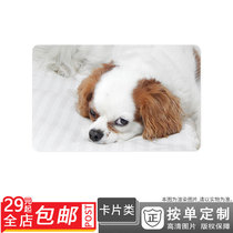 500278623 Indoor cute pet dog animal indoor pet dog card sticker double-sided card single-sided card sunscreen