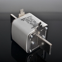 Chint fuse ceramic fuse fusible core RT36-3 630A NT3 RT16-3 500v