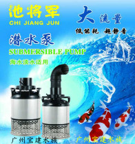Pool general large flow submersible stainless steel fish pond pool filtered water pumping pump 50--1000 watts 110 tons