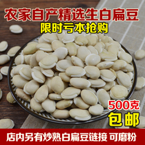 New white lentils 500 grams of large farmers  high-quality selected grains Fried white lentils can be ground 