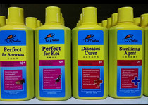 Derby dubiu ornamental fish koi dragon fish blood parrot fish Spirit Turtle Luo Han fish full-effect fish potion