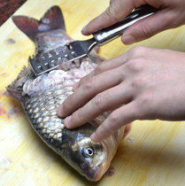 Stainless steel scale brush to remove fish scale tools fish scale planing scale cleaning scale scraping scale planing tool