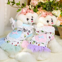 Clearance Pet Dog Clothes Small Dog Lollipop Pineapple Print Pocket Two Color Skirt Dog Clothes Teddy Autumn