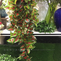 Simulation plants hong zi su vine winding Housetop decoration rattan 1 2 meters high-grade green rattan vine