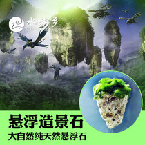 Aquarium Township] Floating stone fish tank landscaping decoration aquarium pumice water grass landscaping stone Avatar set