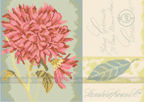 Cross stitch electronic figure redraw source file-Lanarte-35035 chrysanthemum postcard