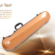 Musical instrument glass steel box two hu with box Paint bright di - hu box Two hu box waterproof