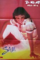 Xu Guanjies 1970s Hong Kong Edition Poster Size: 53cm×73cm