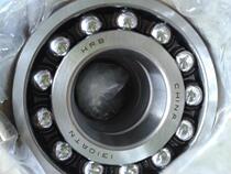 Harbin 1310ATN bearing Nile retainer bearing