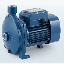 Italian original dress Pedro PEDROLLO water pump cp130 cpm130 spot sales electric cast iron