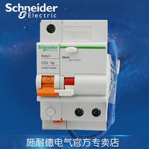 Schneider Electrical Circuit Breaker Air Switch 1P63A with Leakage Protection EA9RN1C6330C