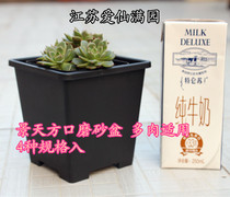 Aixian Manyuan fleshy flower pot Sedum small square pot single head old pile small group Creative balcony office flower pot