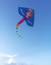 Big Princess Sophia kite 100 lines put cute cartoon Guangdong Fujian Shanghai Beijing Tianjin Chongqing Guangxi