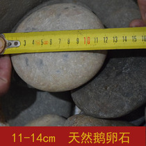 Sell 11-14cm natural goose egg big stone painting barbecue tortoise Sunback stone fish tank decoration landscape egg