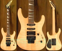 Customer custom log coloured holistic Jacksons DK2 electric guitar