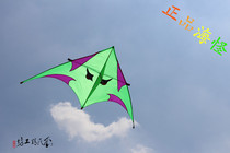 Lius Seiko Square Weifang kite flies very well