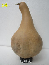 Natural gourd-shaped flat gourd man playing Play collection pyrography painting practice spot sale