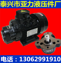 CB-B10jz CB-B6JZ CB-B4 CB-B2 5 lubrication pump head F gear pump interpolation oil pump motor set