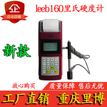 Chongqing Ribo leeb160 Richter scale hardometer with lithium battery with printing mold metal hardness instrument