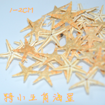 Full 38 conch shell small starfish 1-2cm glass floor decoration window shooting props
