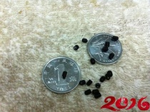 Top wire 12 9 concave end headless hexagon socket socket fixed machine meter screw M2 * 3 -- M2 * 6 10