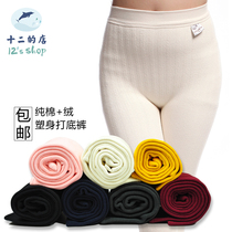 Thickened pure cotton plus suede warm pants high waist elastic close-fitting lengthened multicolored womens underpants Autumn pants with overweight codes