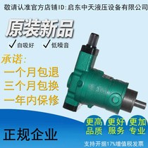 10YCY 25YCY 40YCY 63YCY 80YCY 160YCY 250YCY14-1B axial piston pump