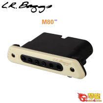 Licensed L R Baggs M80 acoustic folk guitar sound hole pickup active active passive