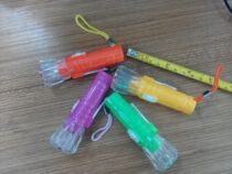 Wholesale 19 New Mini Small Flashlight Plastic Euphotic Light Flashlight LED Torch