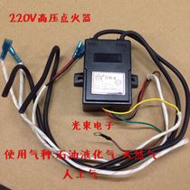 High-power high-pressure fuel stove igniter pulse AC 220v high-frequency high-voltage generator module