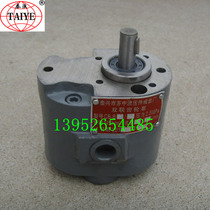 Middle hydraulic CB-B4 4 CB-B6 6 CB-BT10 6 CB-B2 5 double gear oil pump