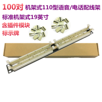 Neutral 110 line frame 100 for telephone line frame 110 Phone jumper frame 100 for voice line frame