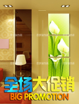 Crystal painting decorative painting living room painting hanging painting frameless porch painting porch painting wall painting walkway mural Lily