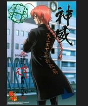 Gintama Shenwei 3z stand-up collar windbreaker tiger coat cosplay suit
