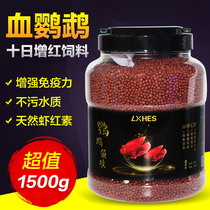 Parrot fish feed blood parrot fish red feed wealth fish color fish red parrot fish feed fish food