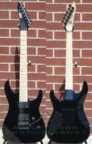 Customized ESPs Custom Order Standard Series M-II electric guitar