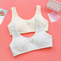 Girls develop small vest 12 14 15 16-year-old junior high school student girl pure cotton adolescent bra underwear