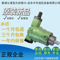 Factory direct sales of high-quality high-efficiency low-noise 10YCY 10YCY14-1B Qidong axial piston pump