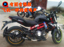 Lanbaolong 300BJ300 small Huanglong 300 modified fried street GP tube modified M4 motorcycle exhaust 2015 model