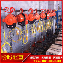 Electric chain hoist electric inverted chain crane chain hoist lifting hoist group lifting hoist electric hoist