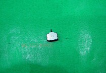  SSCM120100 Japan ALPS small two-way sensing type patch detection switch stroke camera fretting