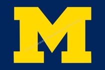 NCAA University of Michigan wolverines Michigan wolverines flag (3)