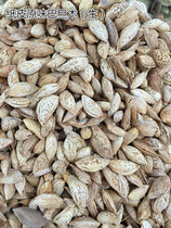 This years new goods Xinjiang original cooked almond special paper leather almond day 500g two bags